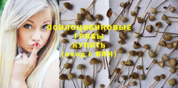 spice Белокуриха