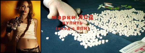 spice Беломорск