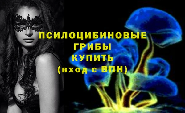 ешки Белоозёрский
